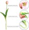 Artificial Pink Tulips, 10pcs Real Touch Faux Latex Tulips, 15.3" Stems, Wrinkle Resistant, Perfect for Home, Parties, Weddings